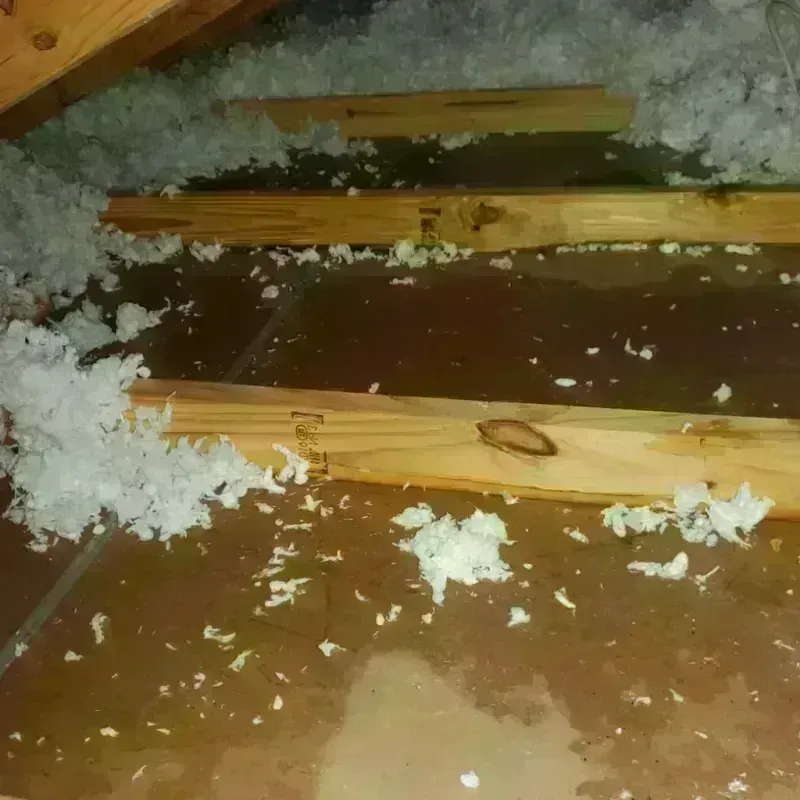 Attic Water Damage in Scottville, MI